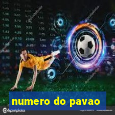 numero do pavao